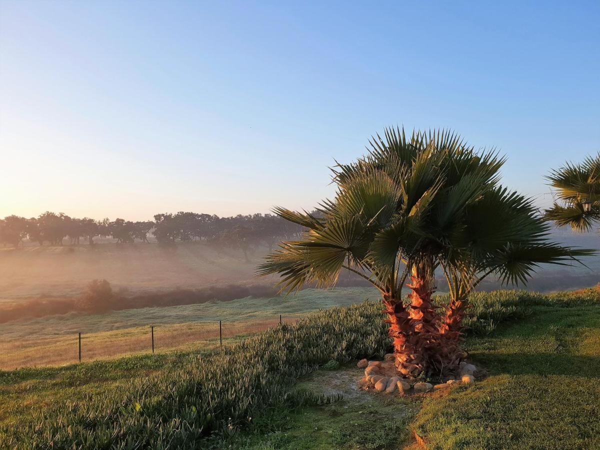 Monte D'Vagar By Estilo Lusitano, Com Piscina Privada Villa Grandola Bagian luar foto
